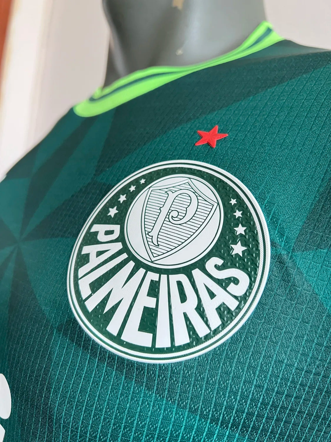 Palmeiras Home Kit (2023-24)