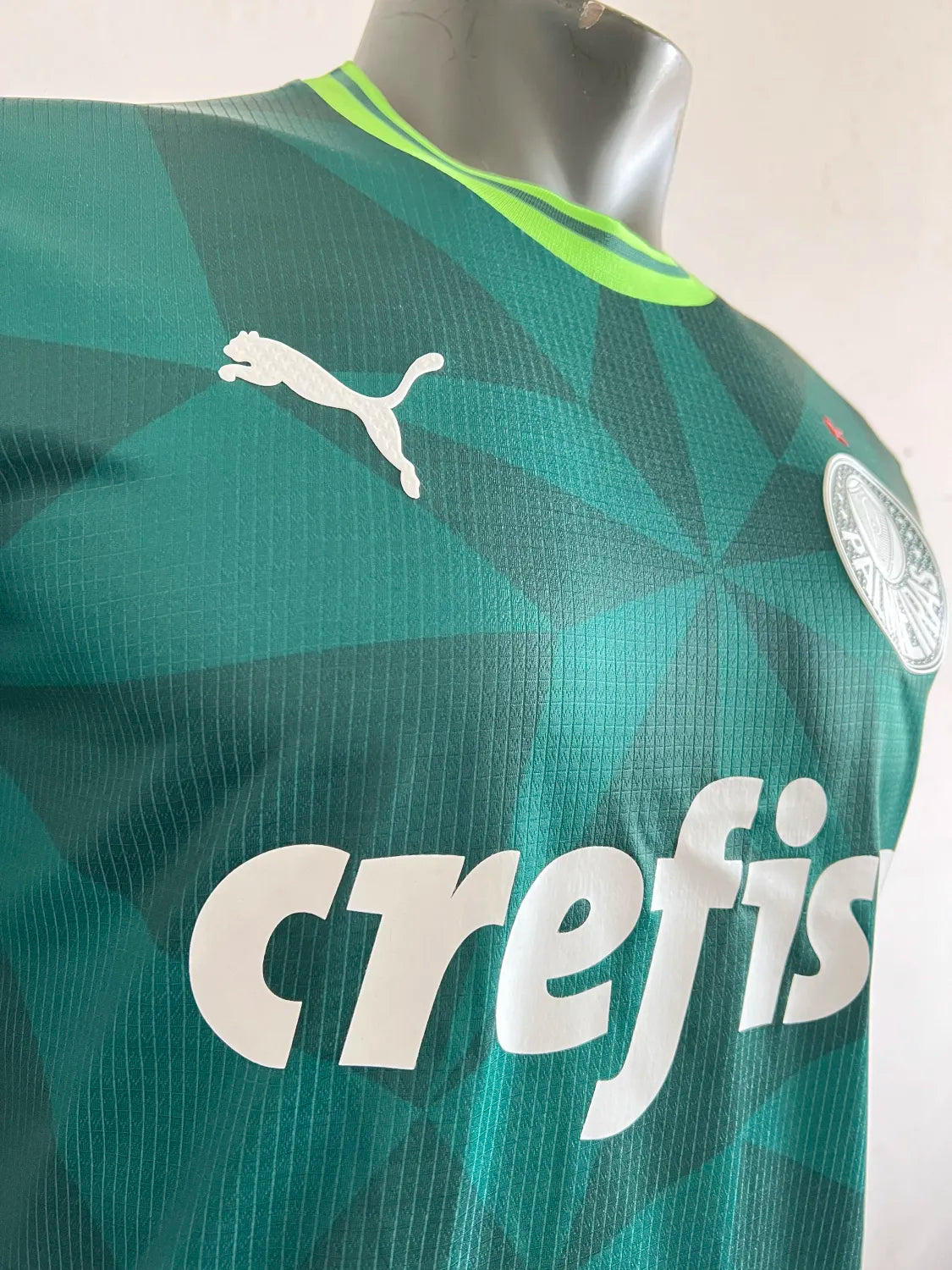 Palmeiras Home Kit (2023-24)