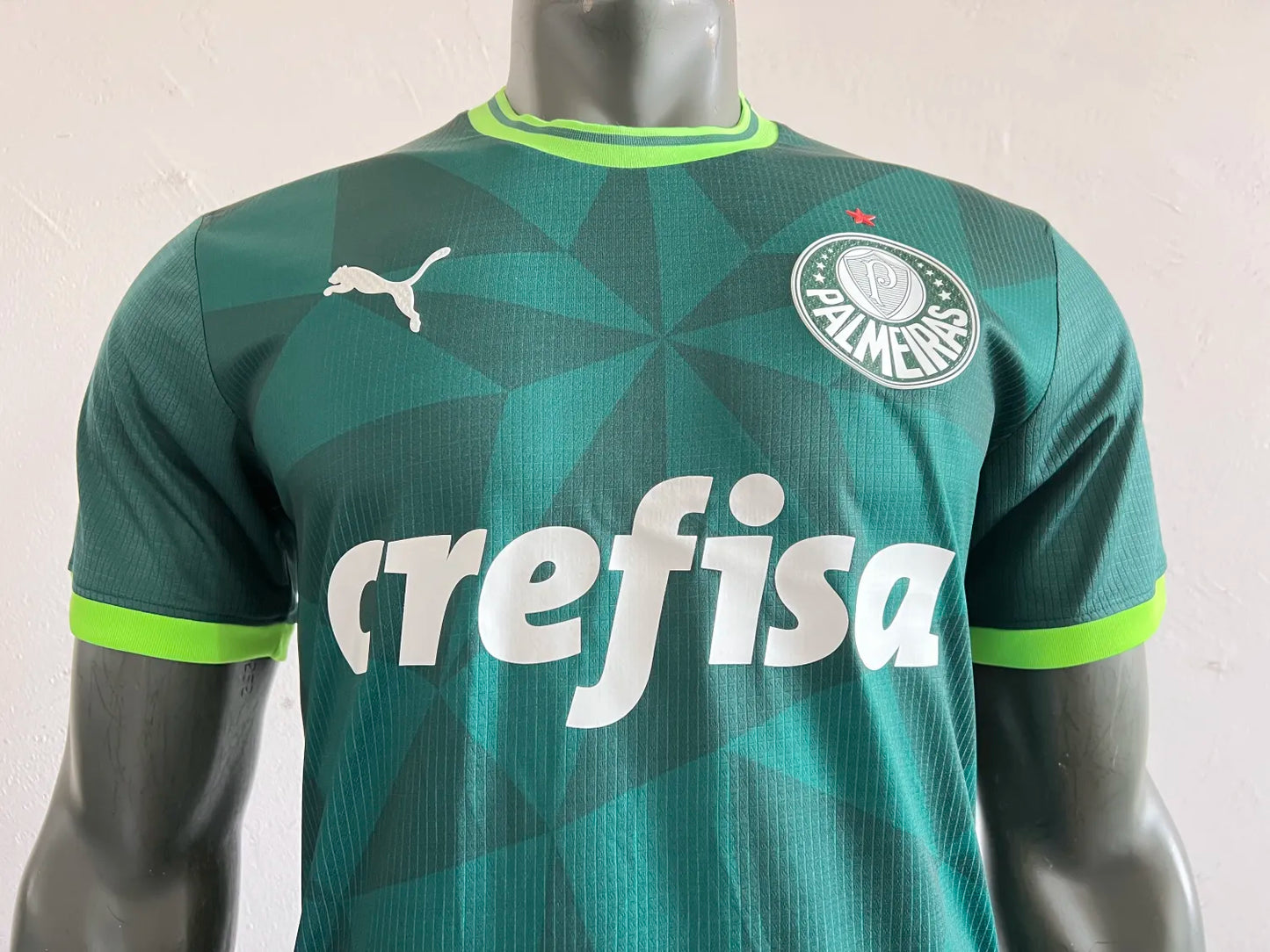 Palmeiras Home Kit (2023-24)