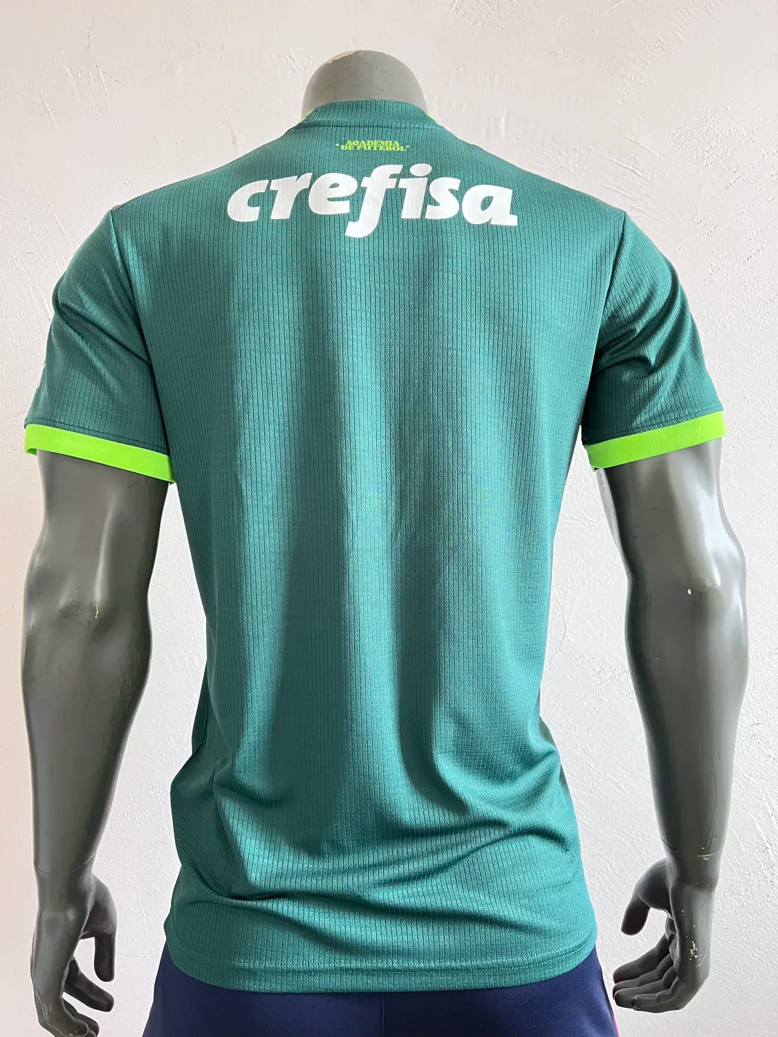 Palmeiras Home Kit (2023-24)