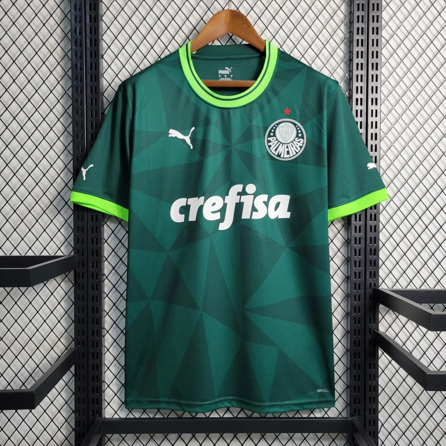 Palmeiras Home Kit (2023-24)